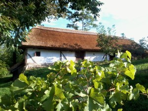 Fenykep0483
