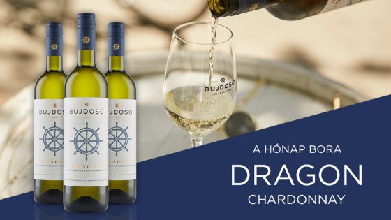 Dragon Chardonnay akció