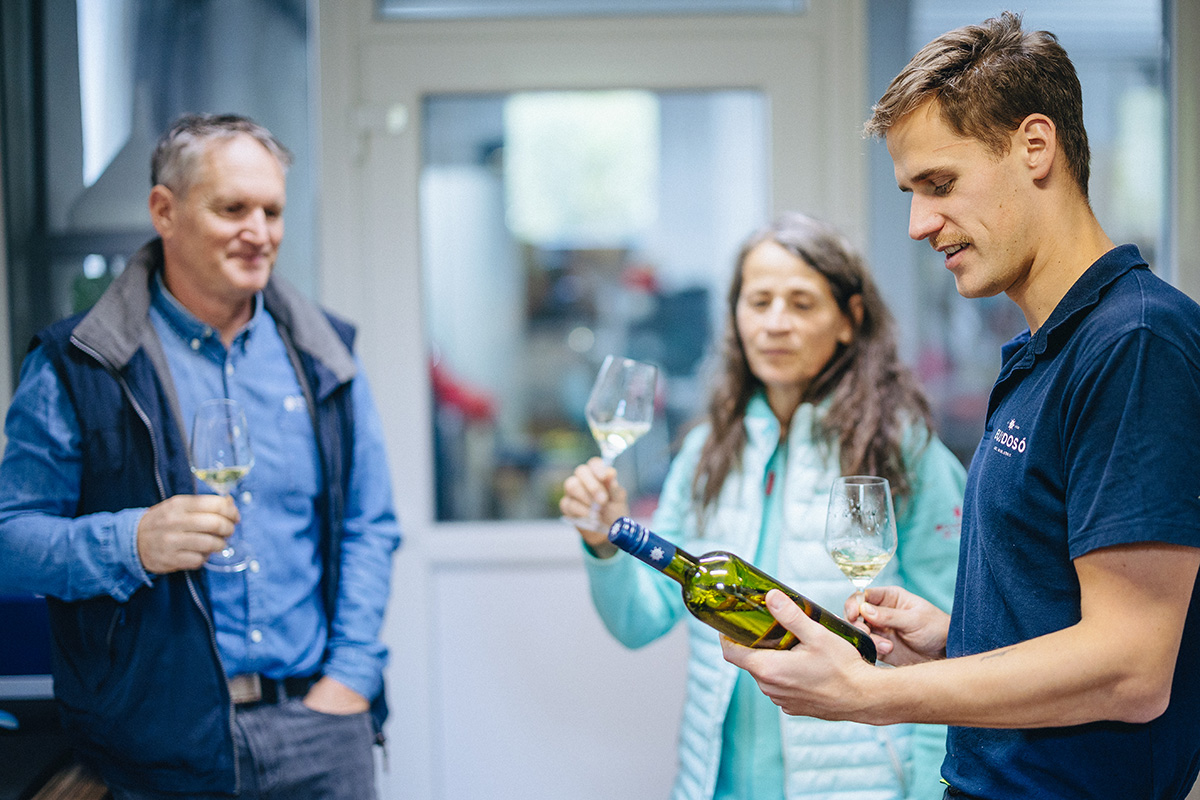 Bujdosó családi borkóstoló sauvignon blanc palackkal a pincészetben