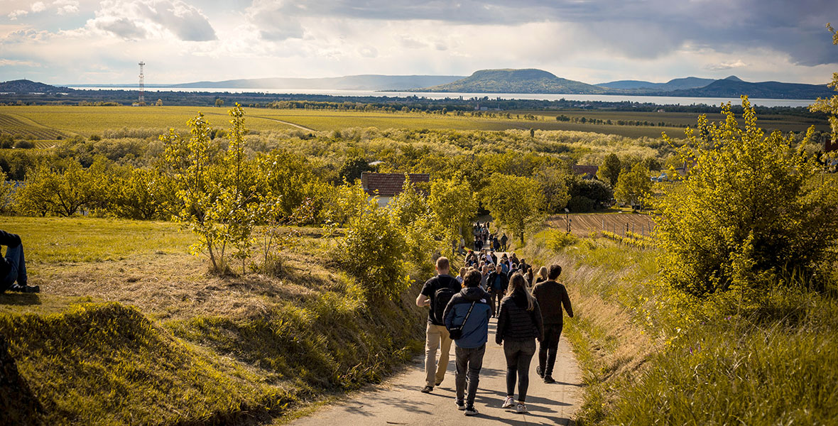 Murci Fesztivál a lellei Kishegyen 2024